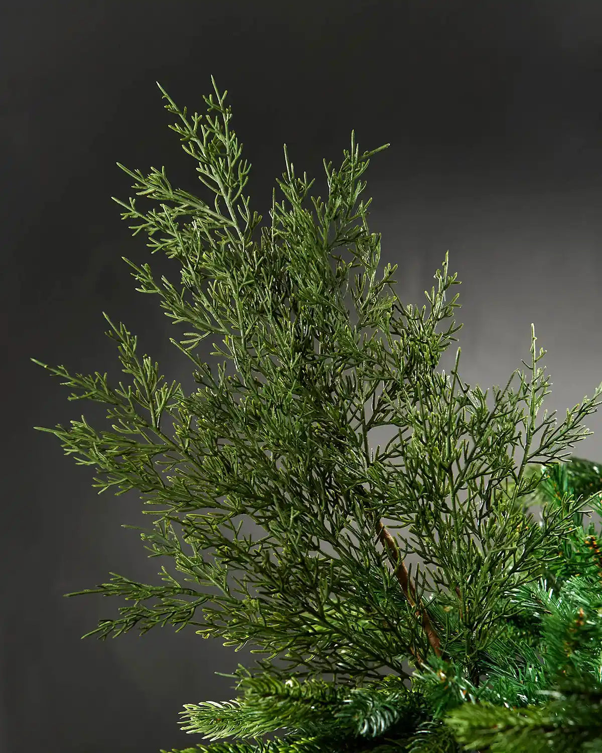 Green Cedar Christmas tree pick on a Christmas tree branch against a grey background
