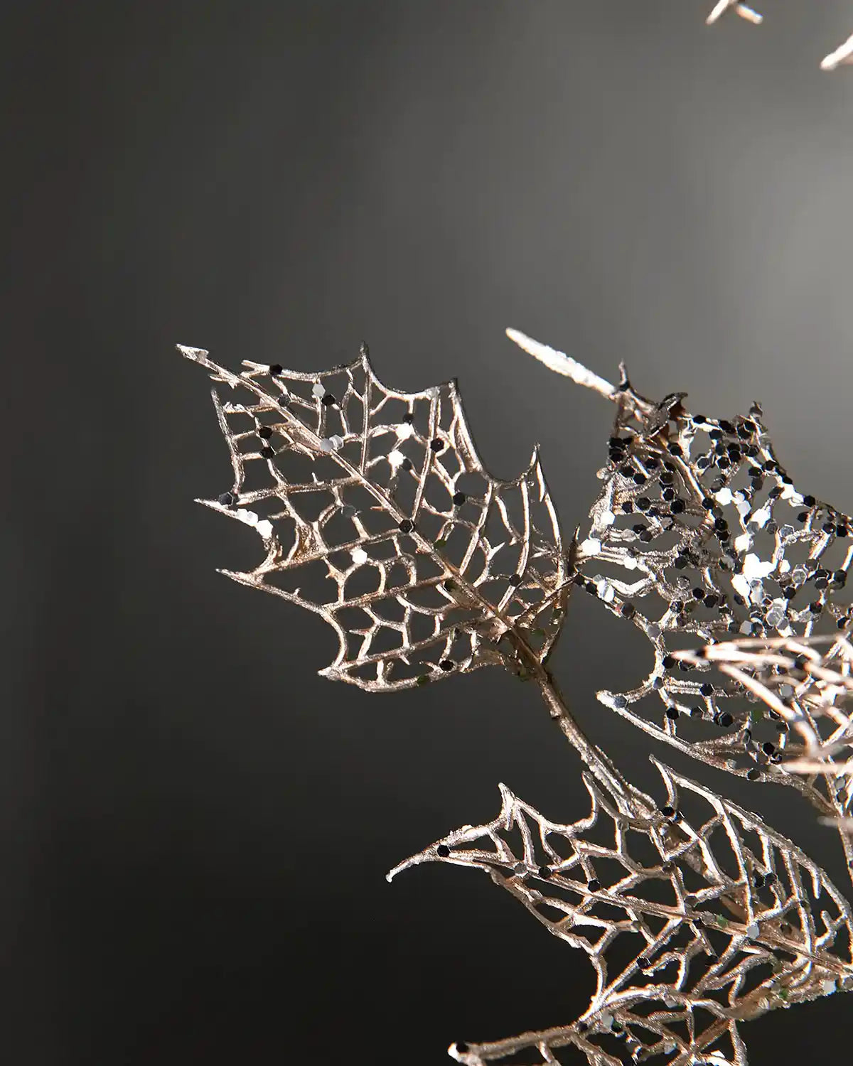 Close up of Silver Holly leaves against a Grey background