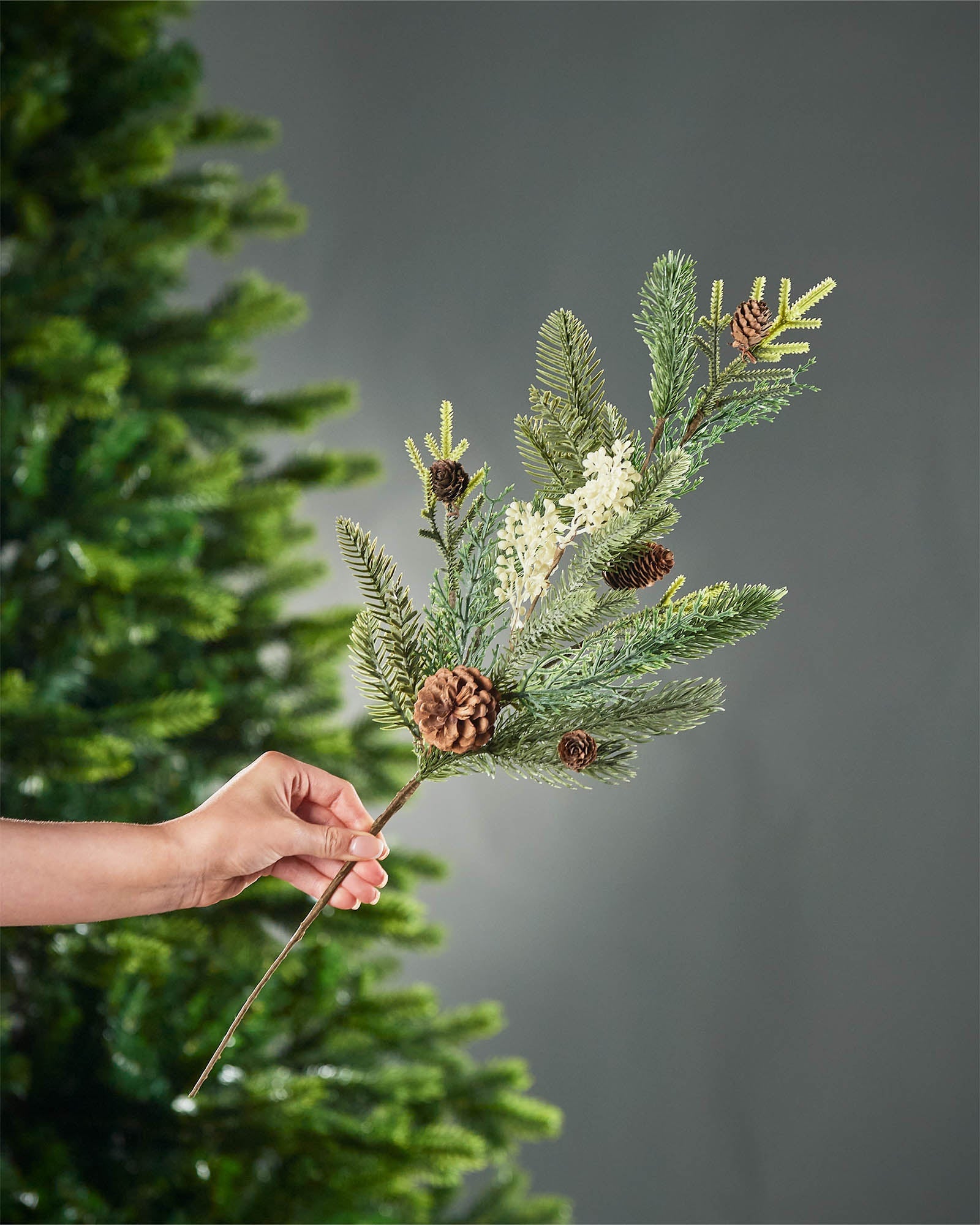 Pinecone Mixed Tips Pick, 60 cm