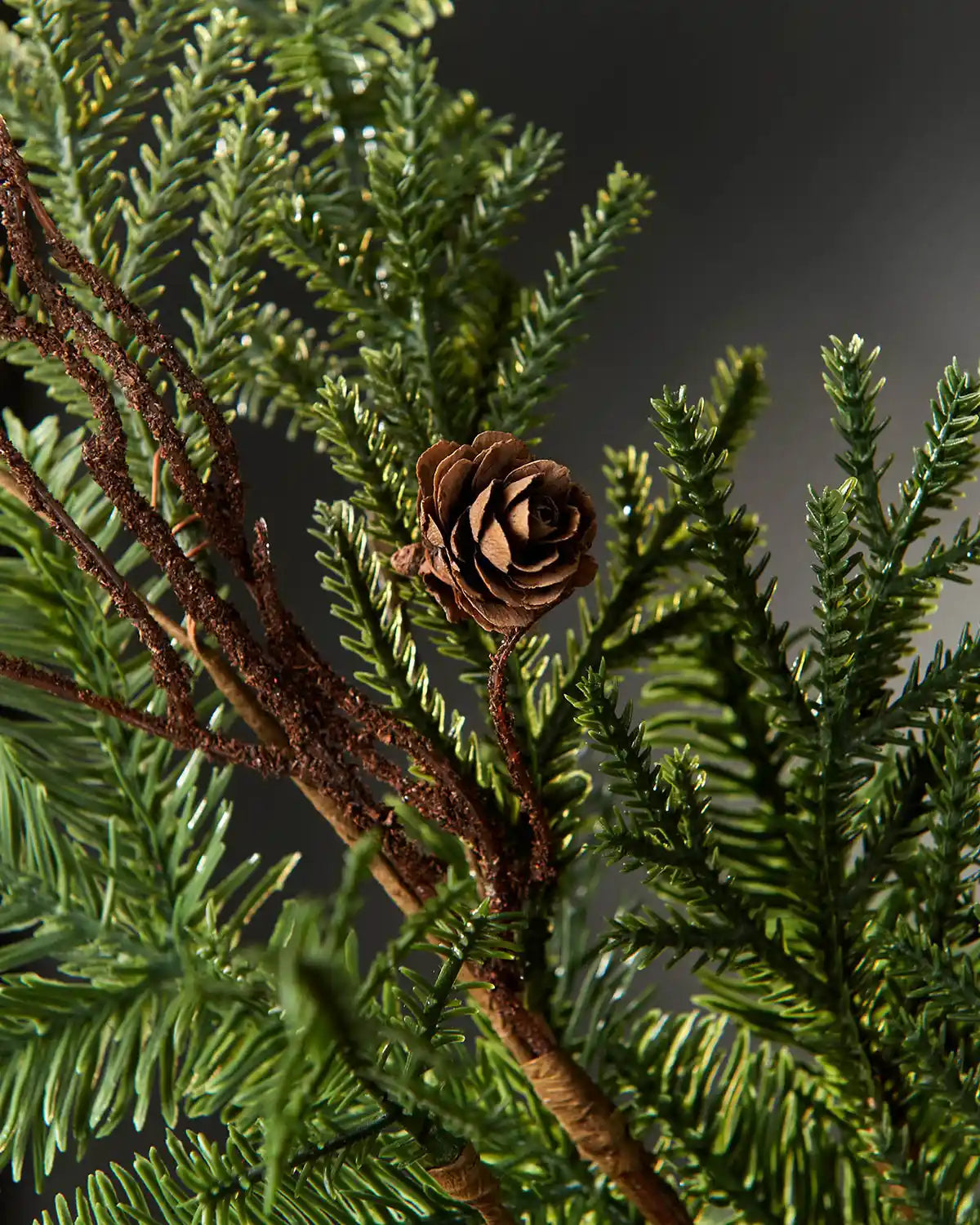 Close up of Green branch decorated with pinecones and brown branches against a grey background