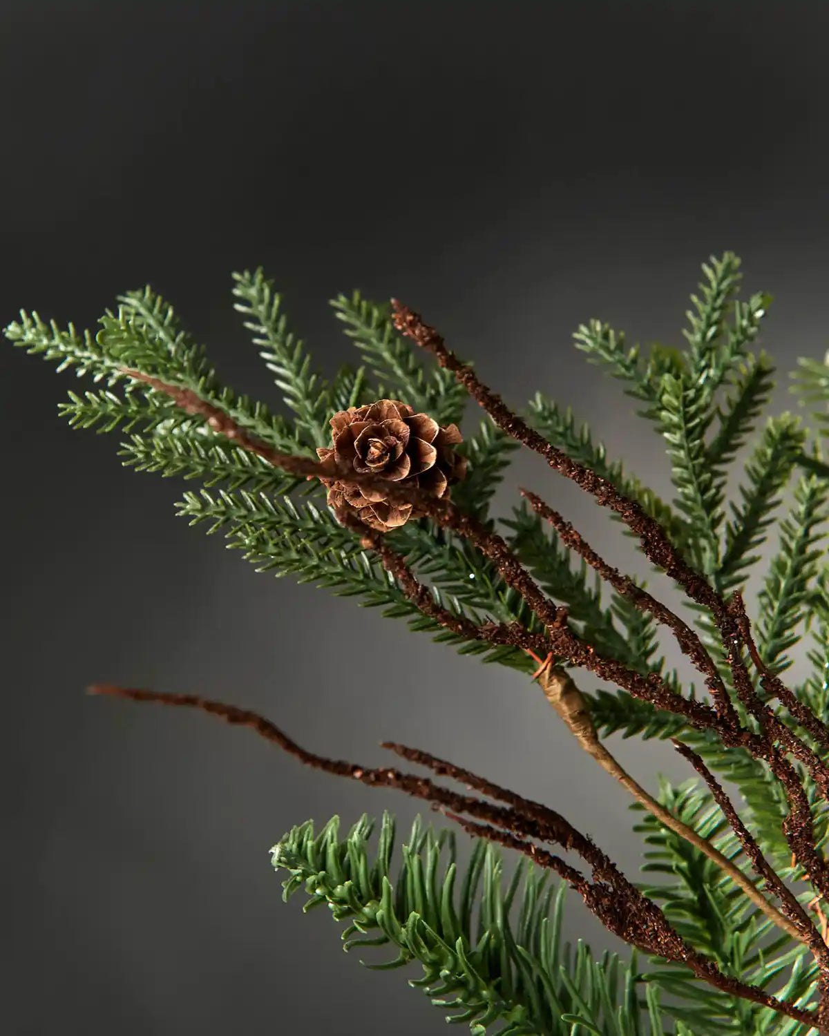 Close up of top of Green branch decorated with pinecones and brown branches against a grey background