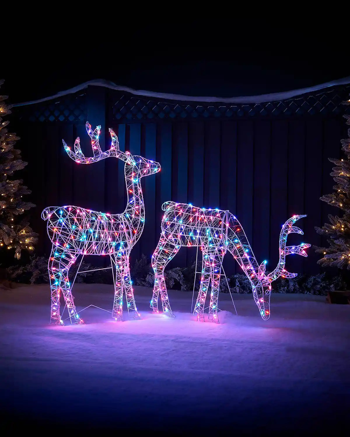 Decorative stag and doe sculpture with colourful Aroura lights against a dark background