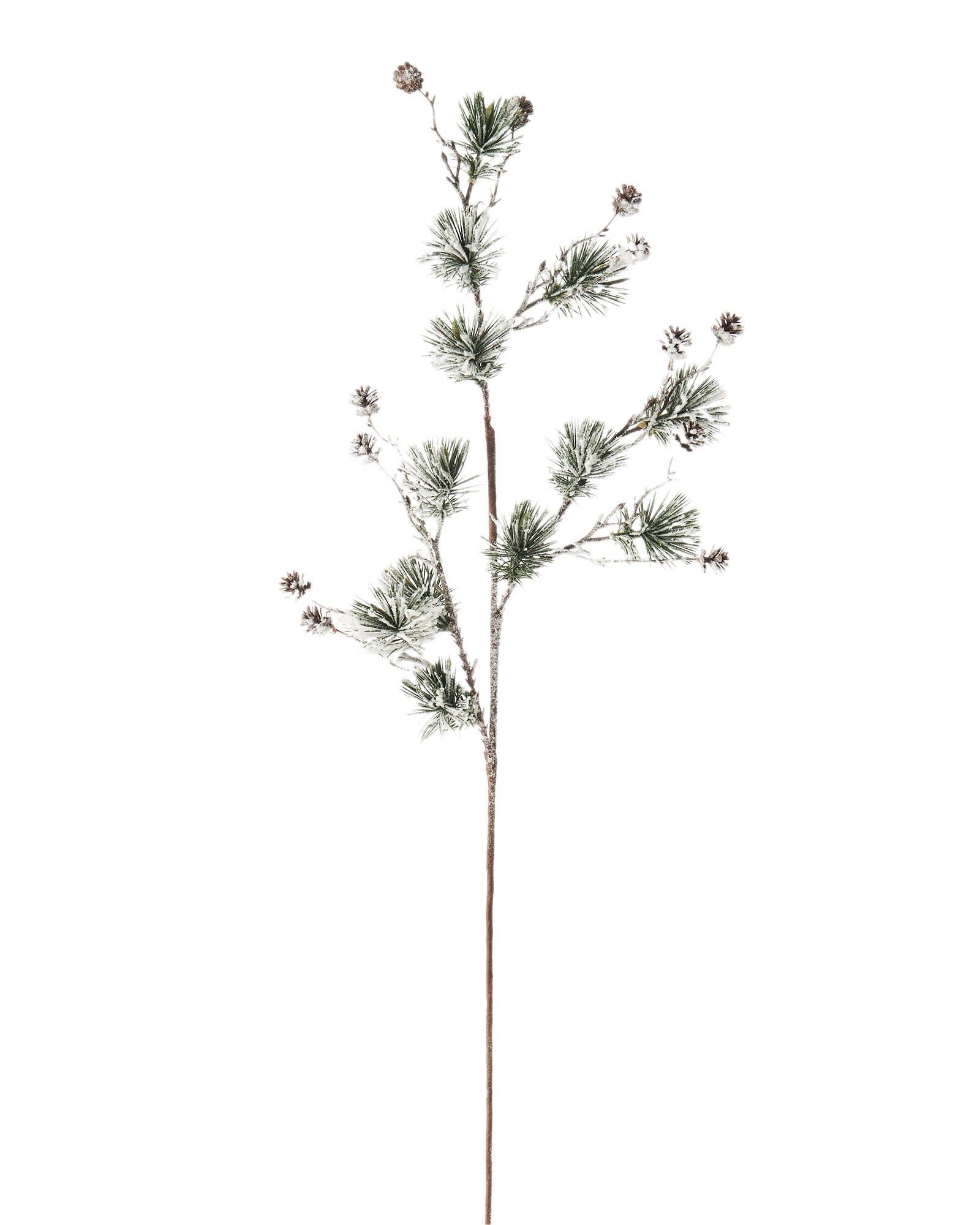 Snow Flocked Pinecone Spray, 77 cm