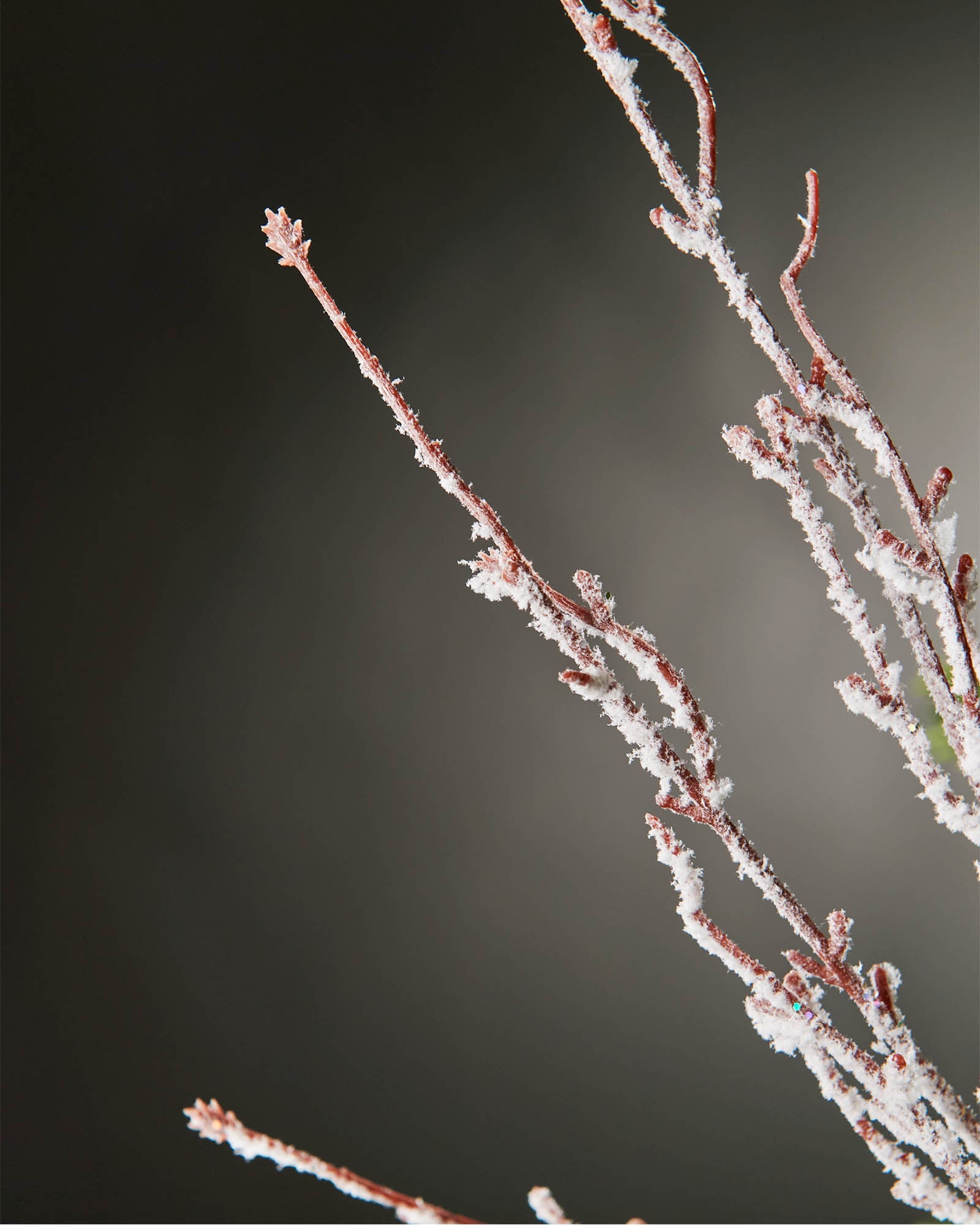 Snow Flocked Twig Spray, 80 cm