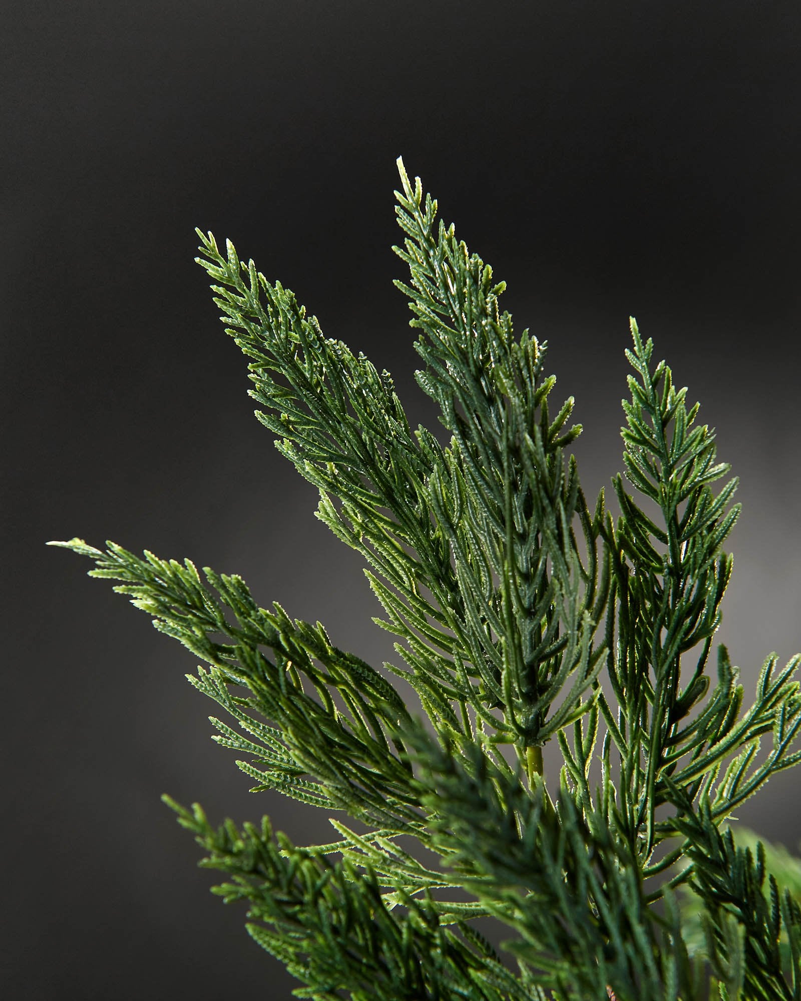 Natural Pine Christmas Tree Pick, 61 cm