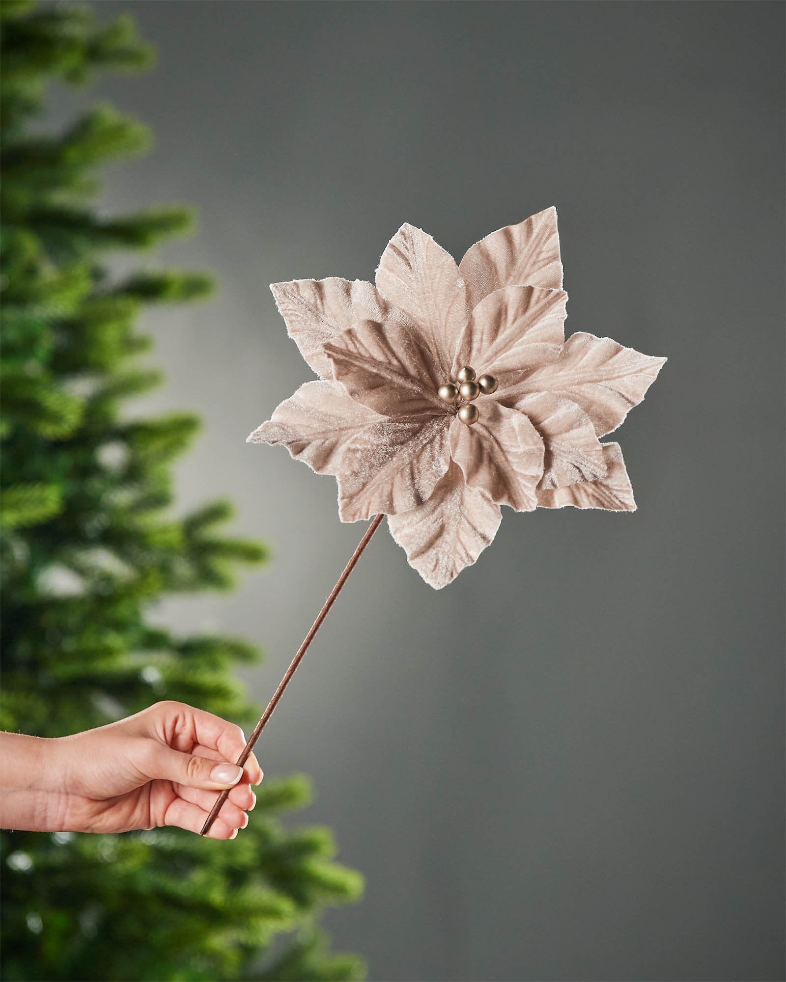 Mocha Artificial Poinsettia Flower, 26 cm