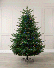 Pre-Lit Northern Fir with Dual Vintage Candle LEDs