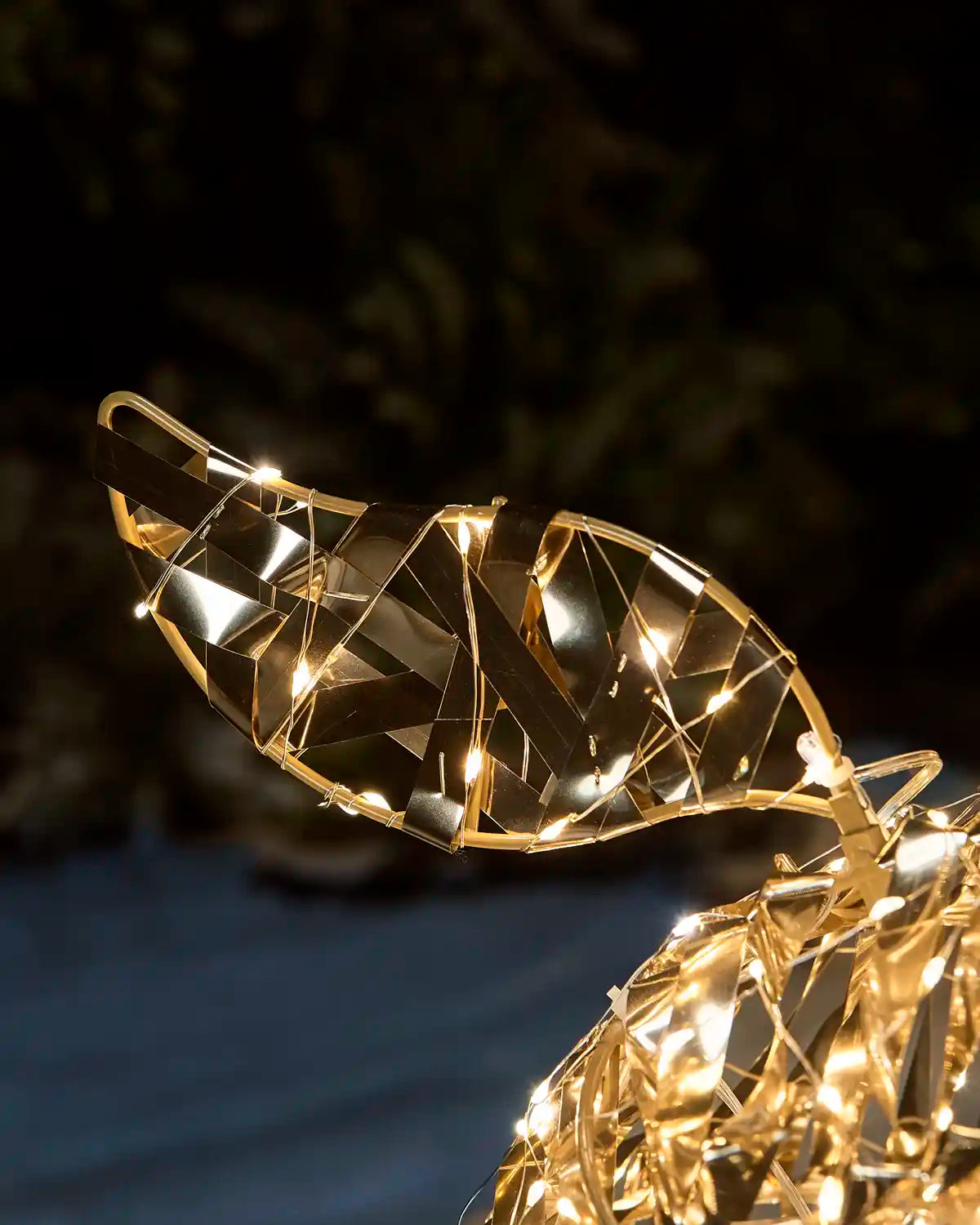 Close up of Stags tail with Gold and warm white string LED lights against a dark garden background