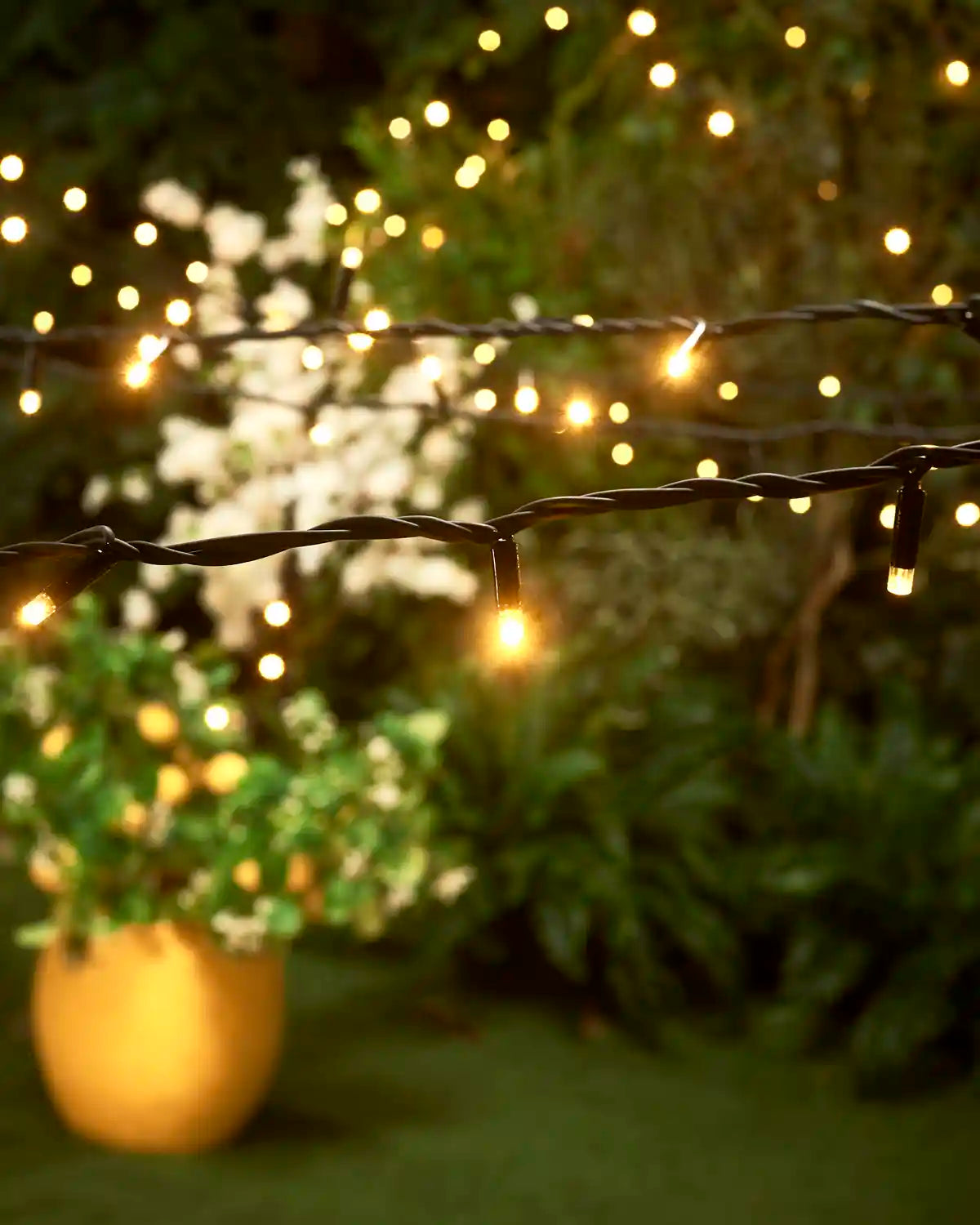 Warm white LED string lights glowing in a garden setting, with a blurred plant pot and green plants in the background