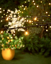 Warm white LED string lights glowing in a garden setting, with a blurred plant pot and green plants in the background