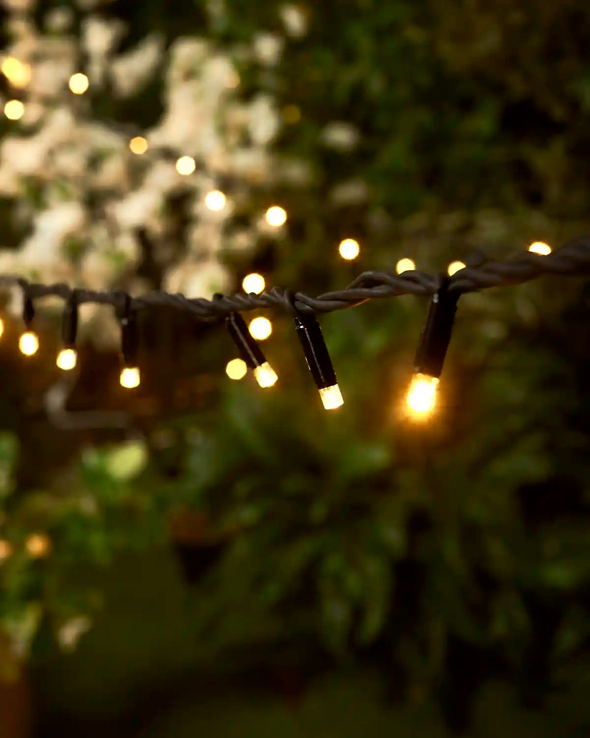 Warm white LED string light with blurred lights and blurred greenery in the background. 