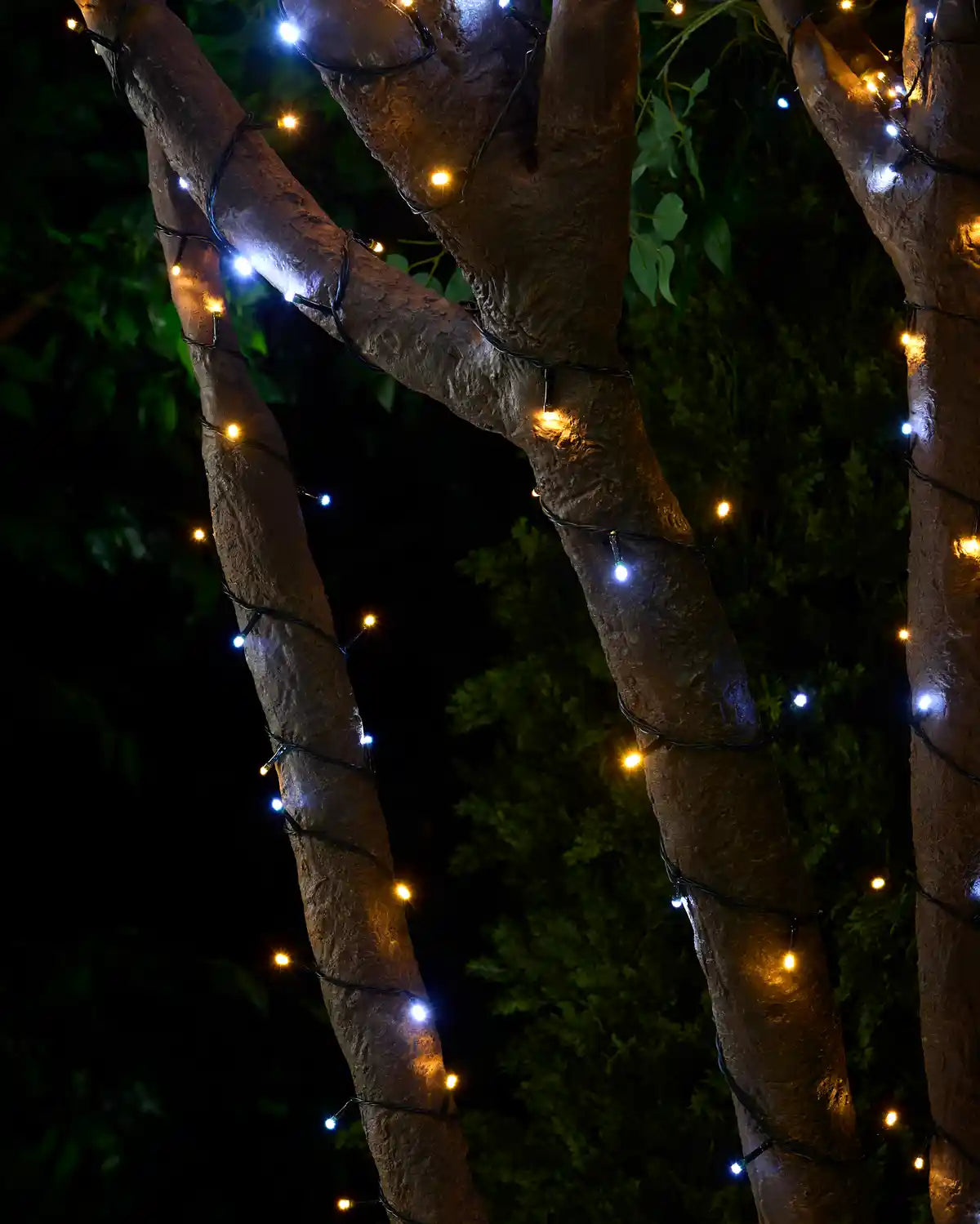 Warm white & White string lights wrapped around tree branches with a blurry garden background
