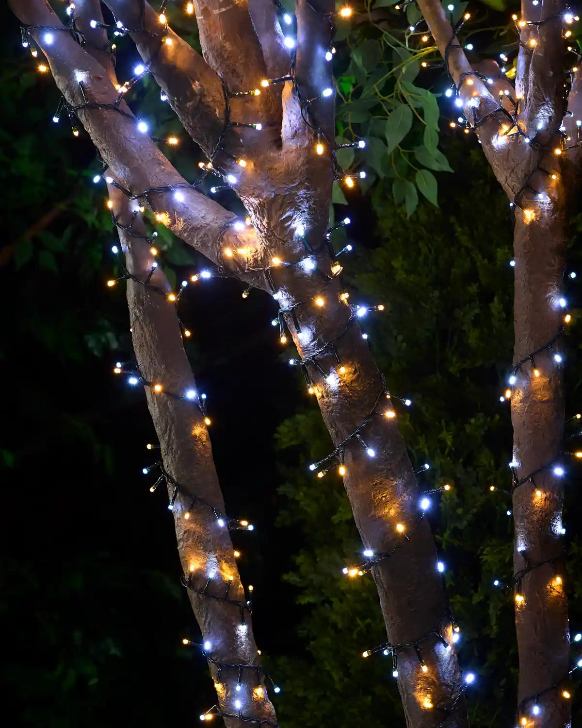 Warm white & White string lights wrapped around tree branches with a blurry garden background
