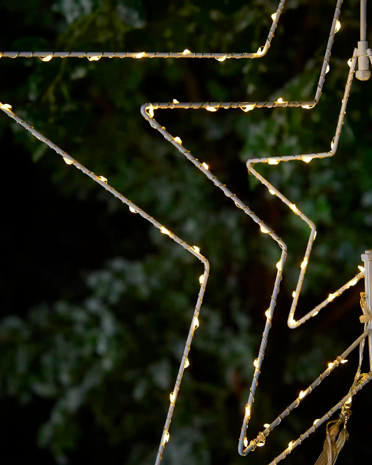 Warm white star-shaped string lights glowing against a dark green foliage background.
