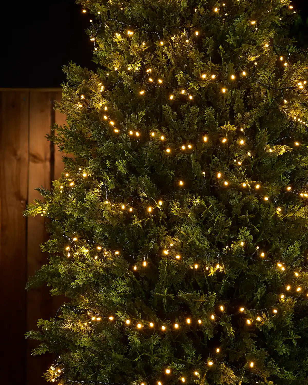 Warm white string lights wrapped around a bush with a brown fence in the background