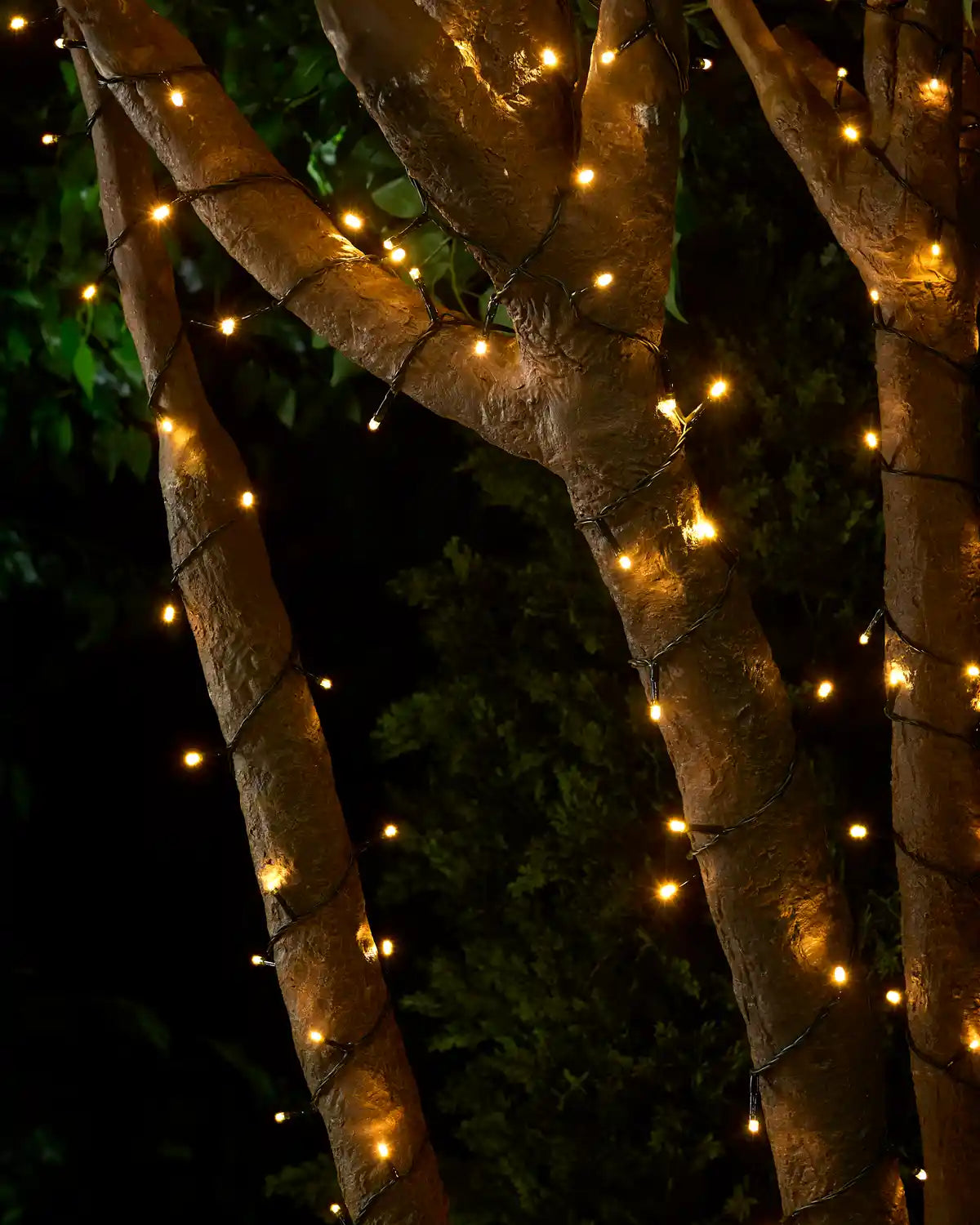 Warm white string lights wrapped around tree branches with a black background