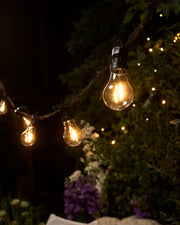 Pro Series Connectable Festoon Lights, A60 Filament Bulb, Warm White