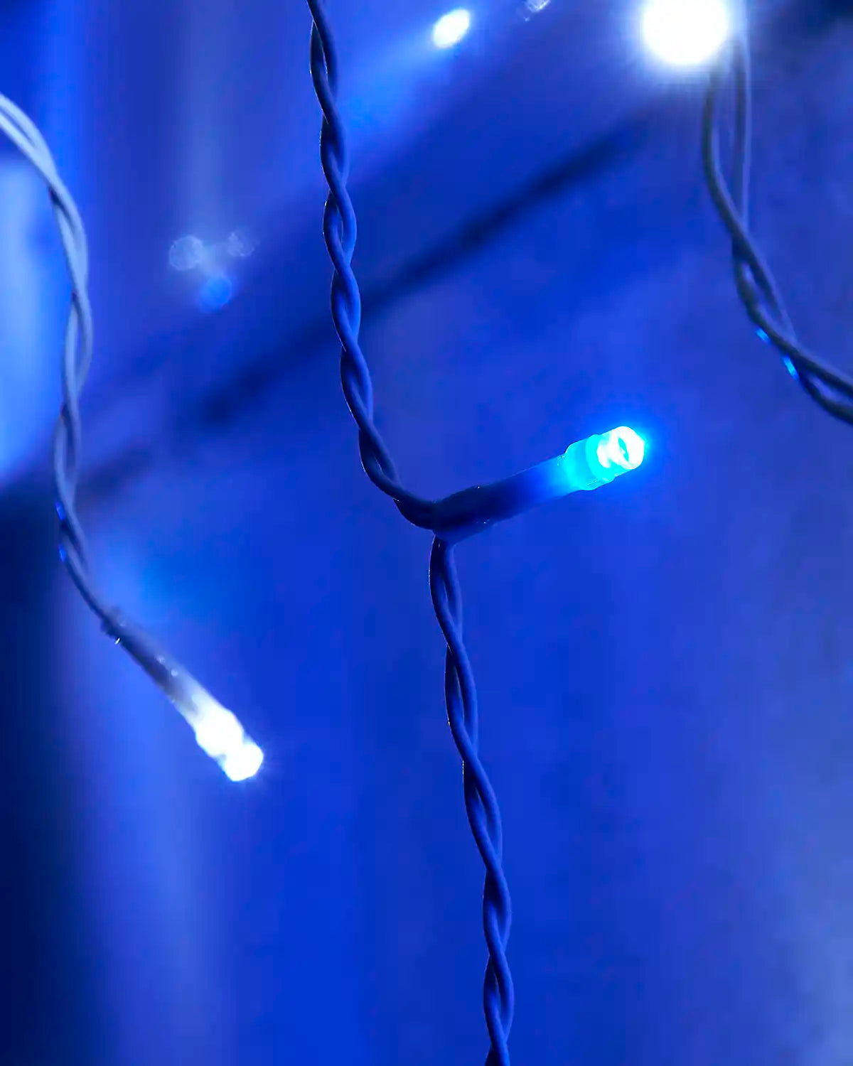 Close-up of blue and white LED bulbs on icicle lights.