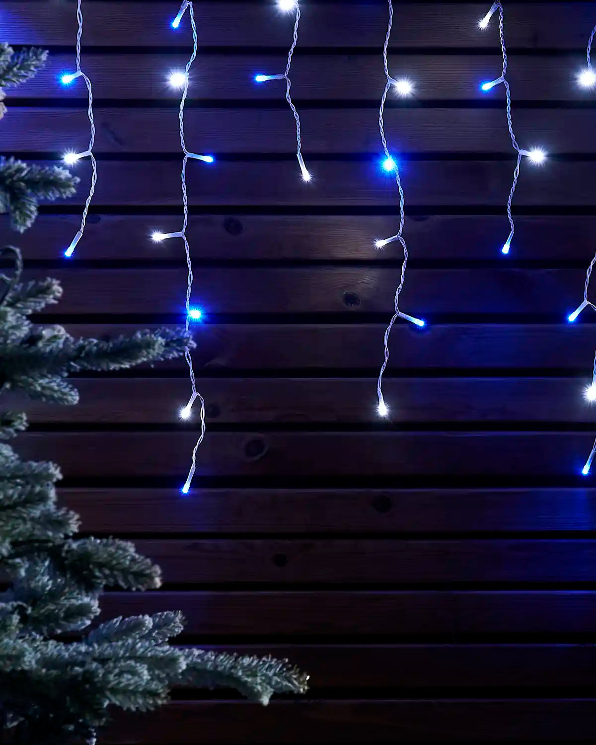 Blue and white icicle lights hanging against a wooden wall beside a frosted Christmas tree.