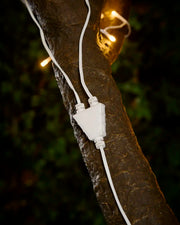 White Y Cord Connector attached to a tree with warm white LED lights. 