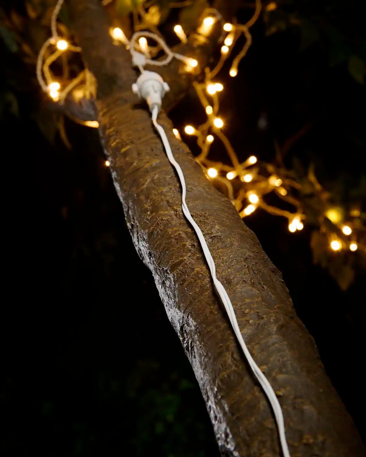 White connectable extension cable attached to warm white LEDs going up a tree