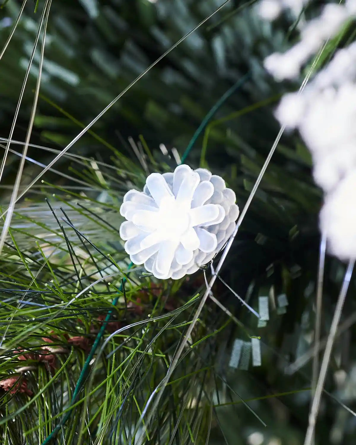 White decorative light on a branch of a pine tree