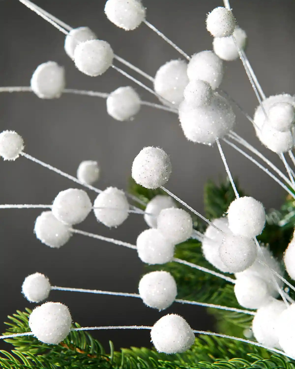 Additional close-up of white snowball spray attached to tree in front of grey wall background
