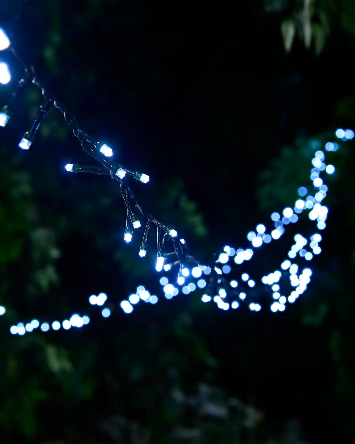 White string lights hanging down with a blurry background
