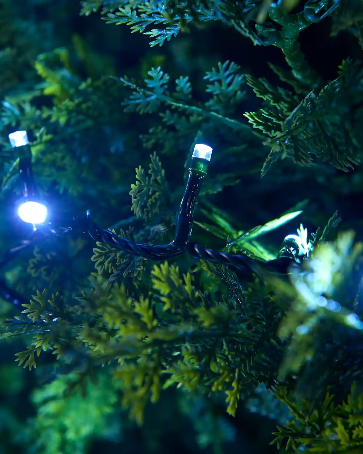 White string lights showing singular LED close up with foliage shown in the background
