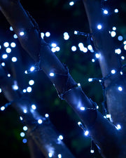 White string lights wrapped around a tree branch with a blurry background
