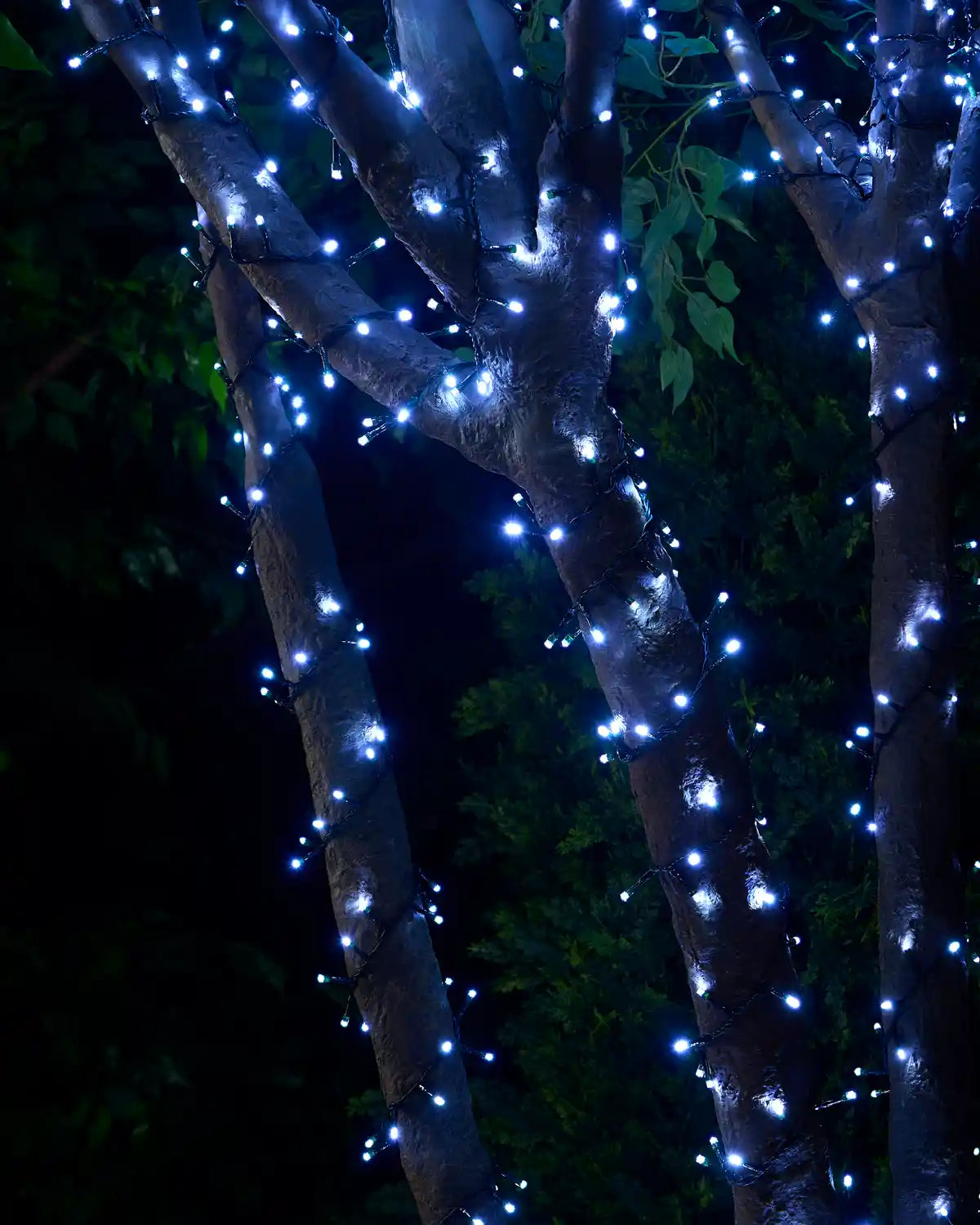 White string lights wrapped around tree branches with a garden background
