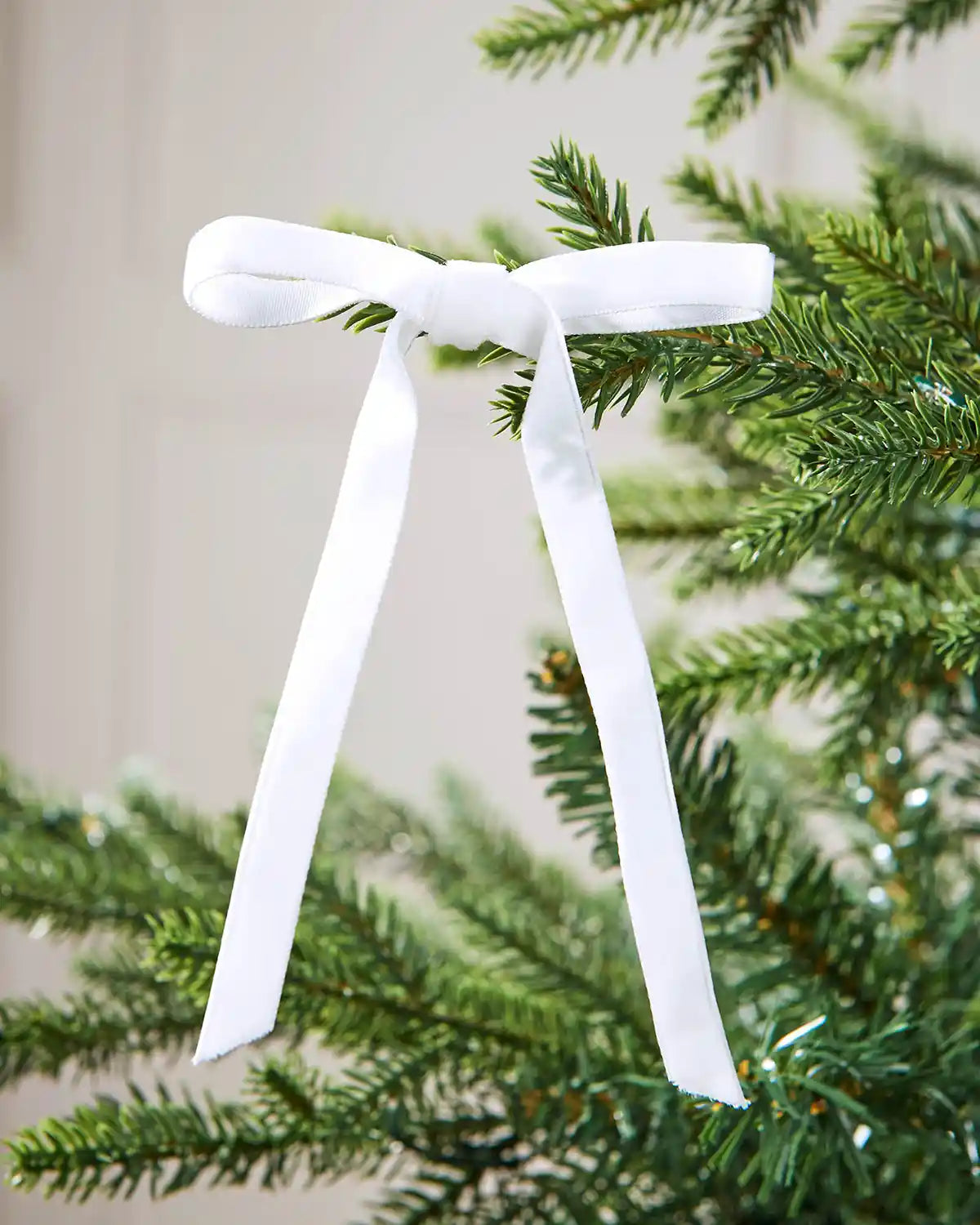 A single white velvet bow on the edge of a Christmas tree branch in front of a white background