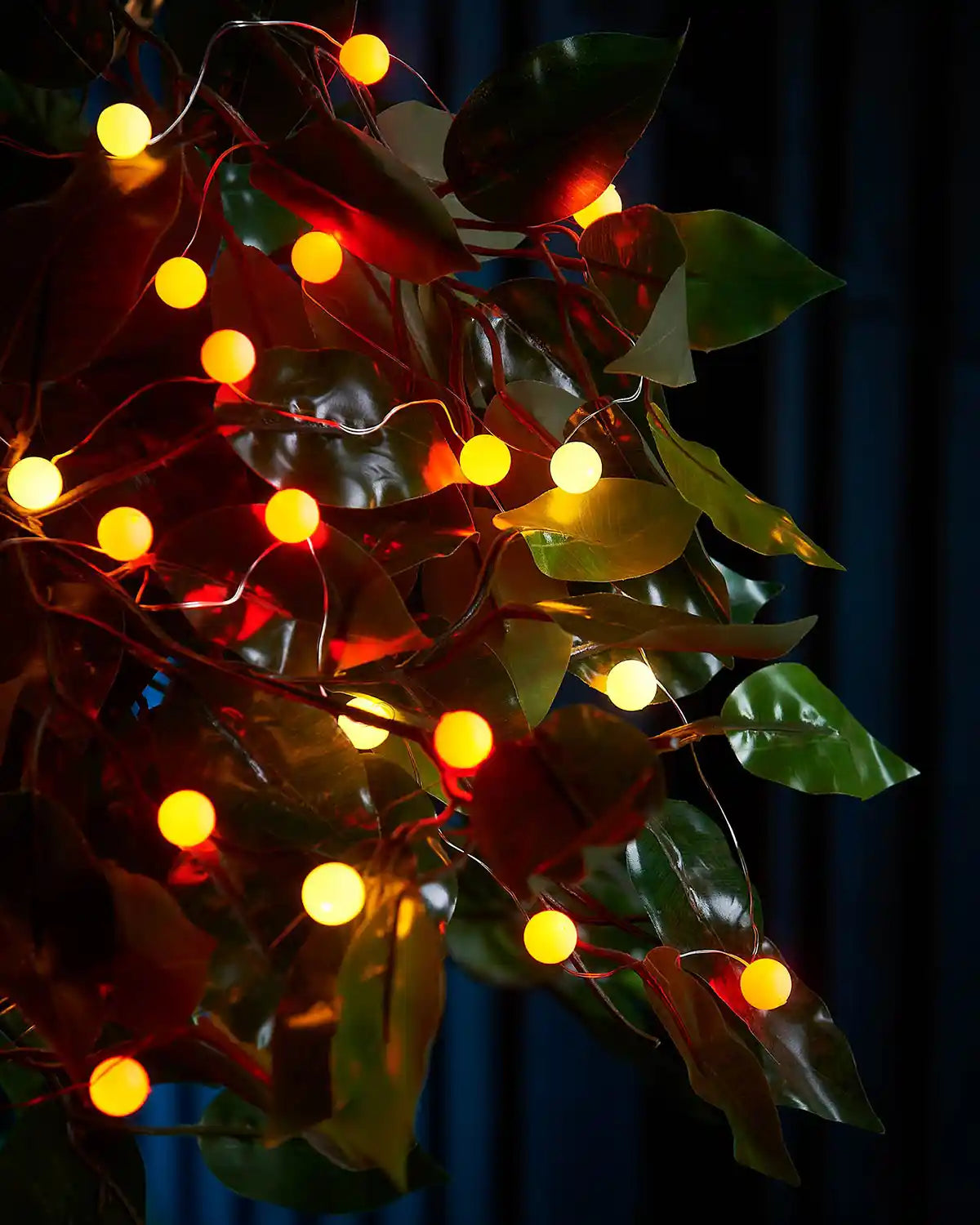 Yellow and orange berry String lights wrapped around green leaves against a dark background