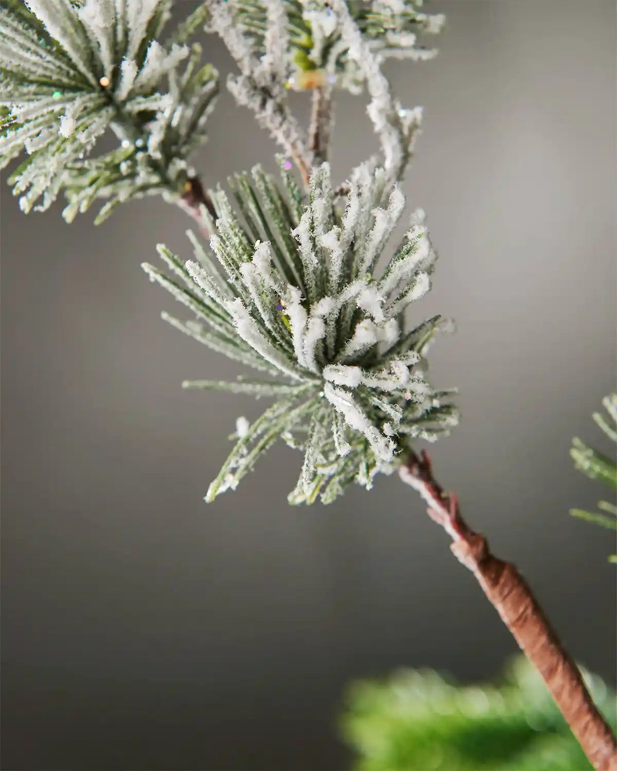 Zoomed-in image of the snow-flocked pinecone spray including brown stem in front of grey wall background