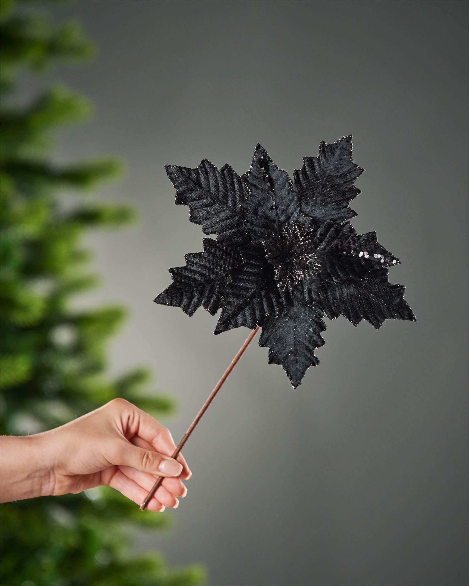 25 cm artificial black poinsettia flower held by its brown stem, showing the full flower head and glittered finish.