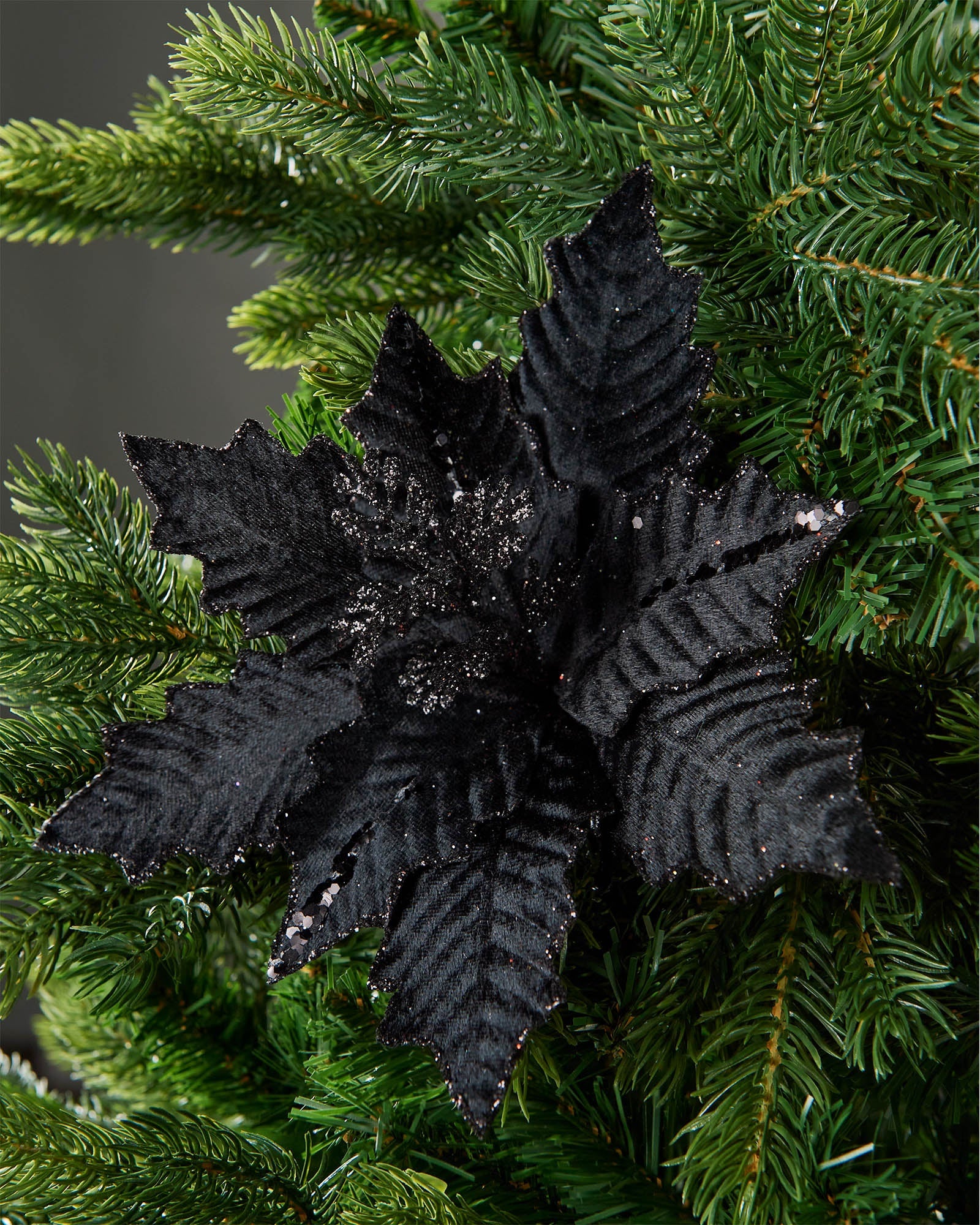 25 cm artificial black poinsettia flower displayed in a Christmas tree, with velvet-textured petals and glitter detail.