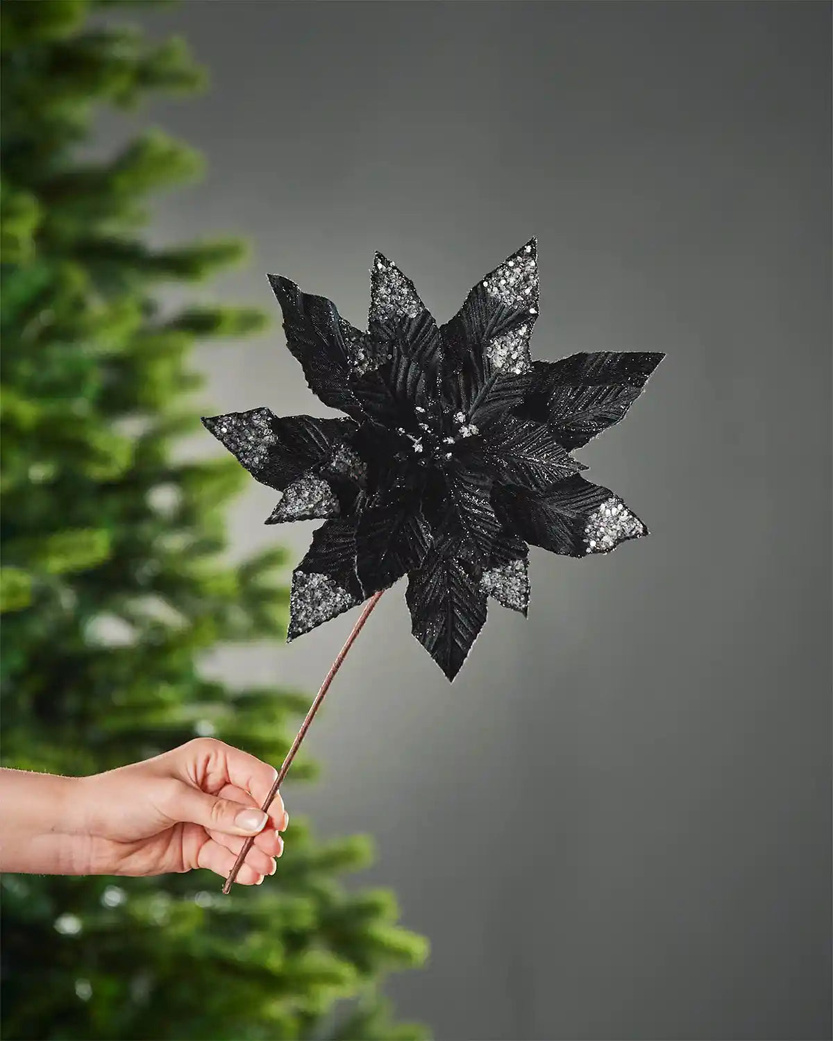 28 cm artificial black poinsettia flower held by its brown stem, showing the full flower head with glittered petal tips.