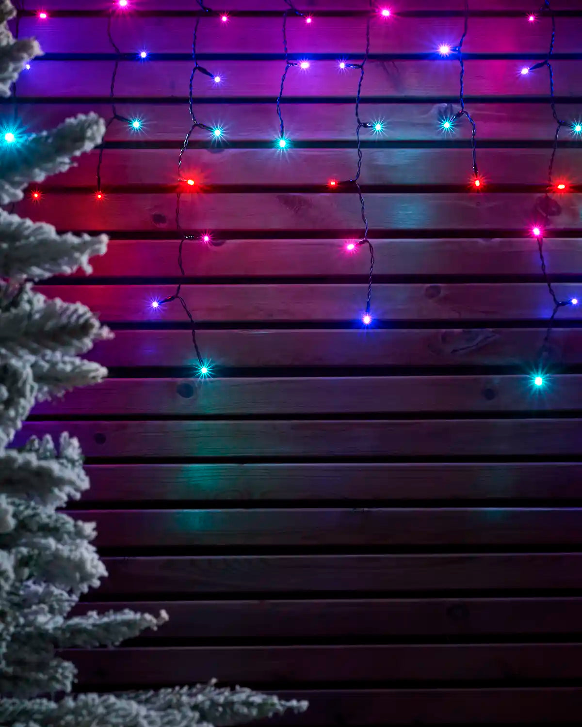 Aurora icicle lights on black cable displayed against a wooden wall with a frosted tree at the side.