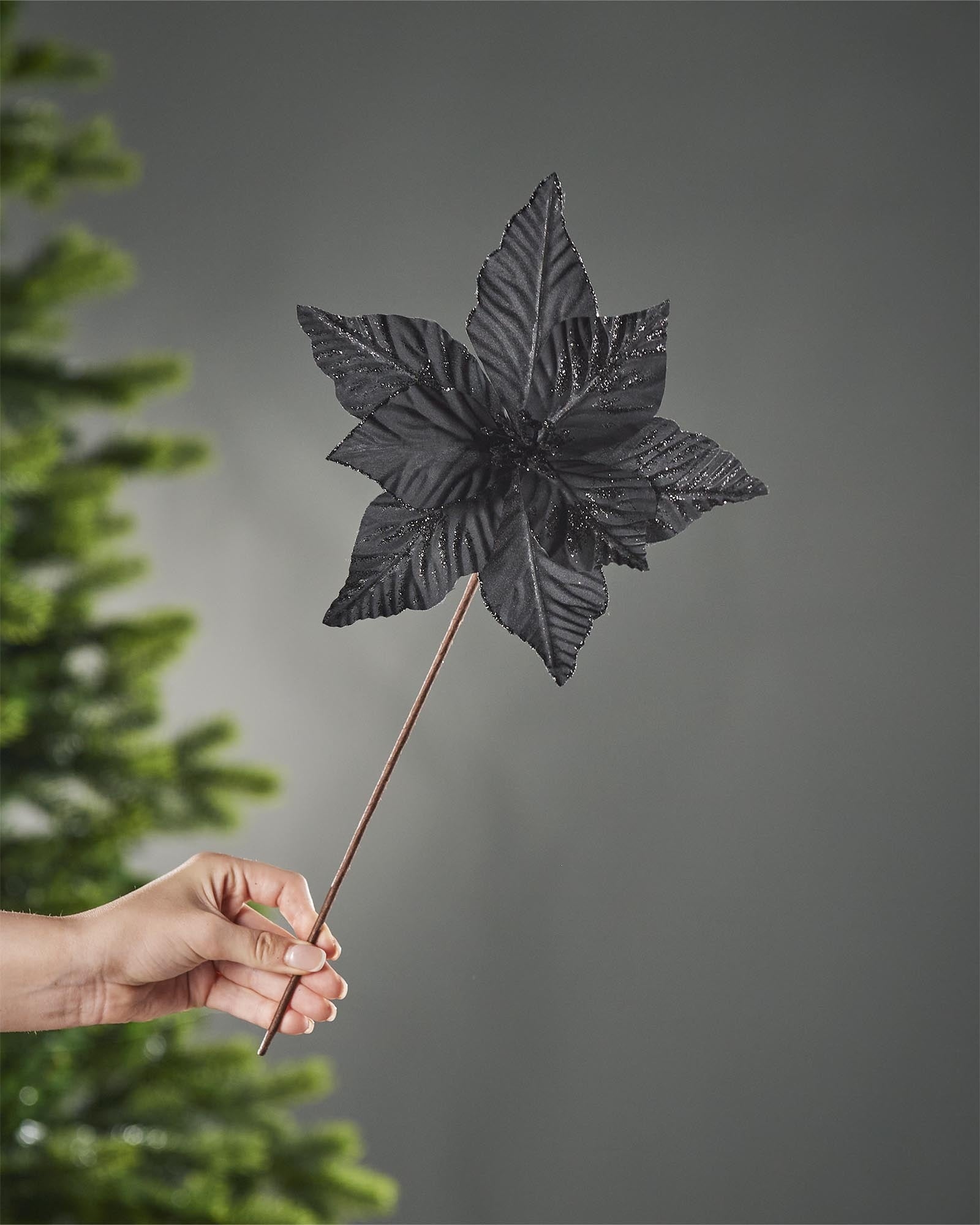 25 cm black artificial poinsettia flower held by its stem, showing the full flower head and long brown stem.
