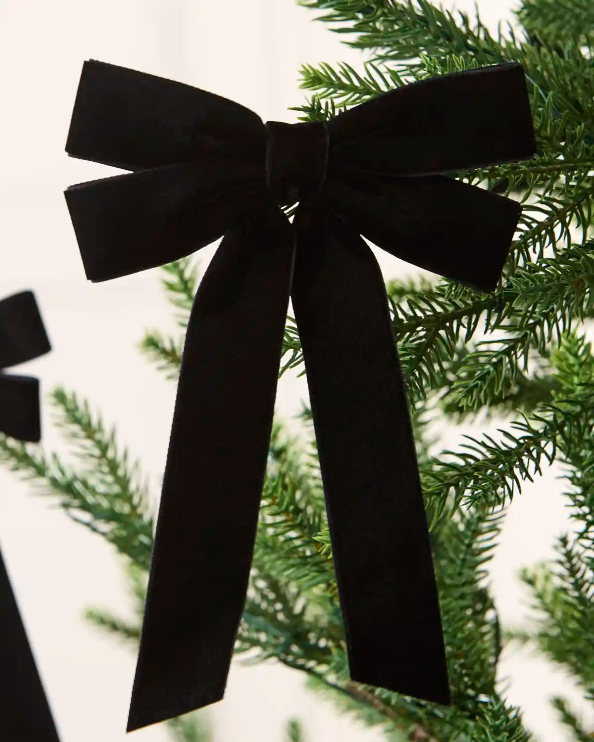 Black 16.5 cm velvet double bow with long tails attached to a Christmas tree branch.