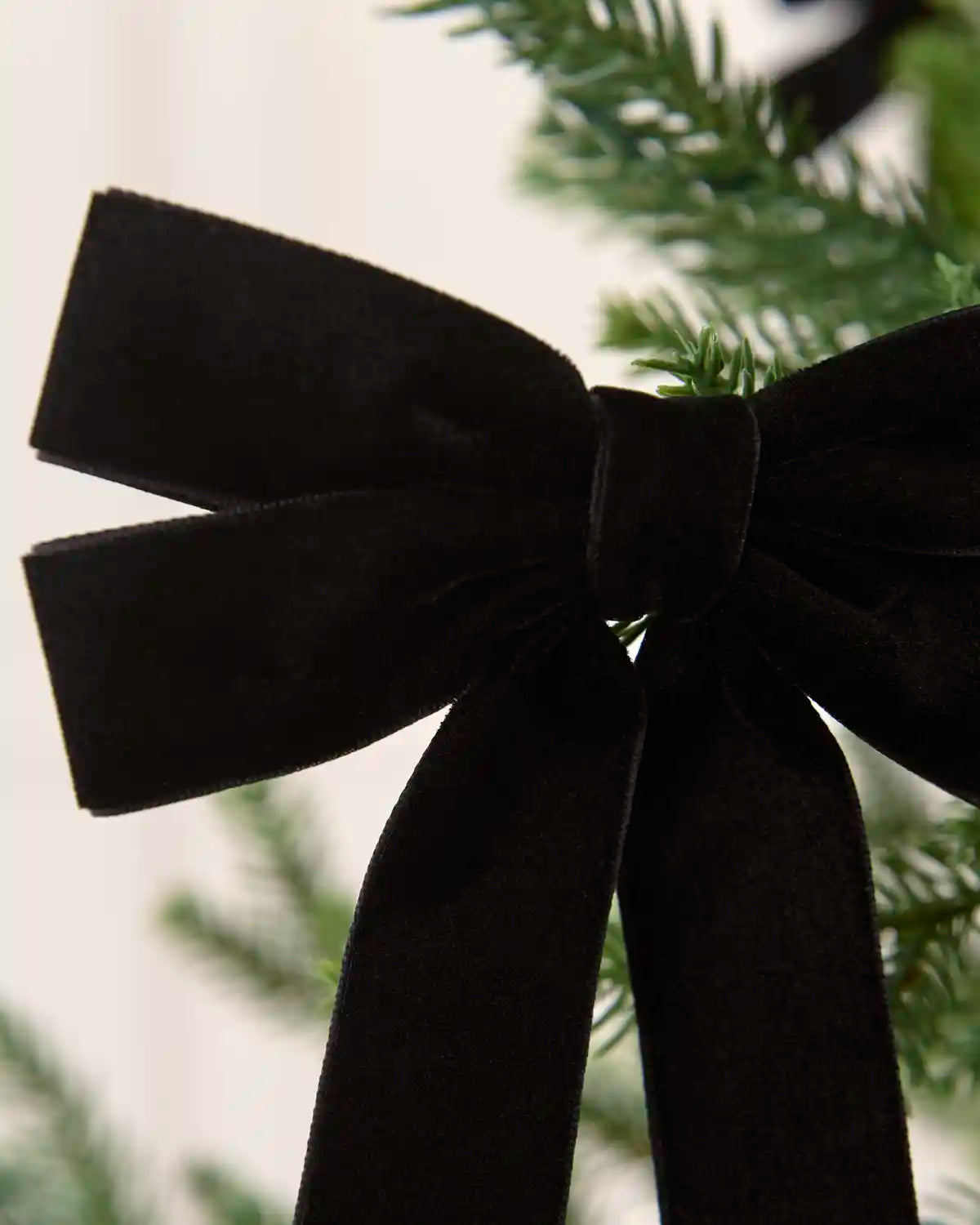Close-up of a black velvet double bow showing layered loops, long tails and soft texture.