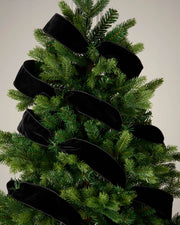 Black velvet ribbon wrapped around a Christmas tree as a soft festive decoration.