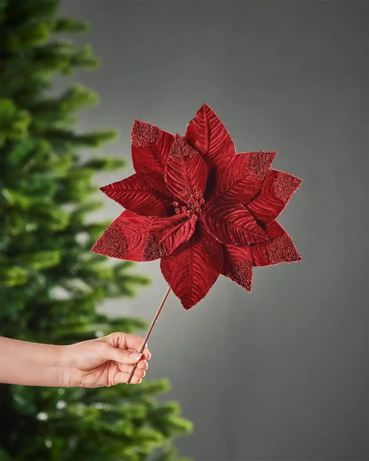 32 cm burgundy artificial poinsettia flower held by its brown stem, showing the full layered flower head and glitter detailing.