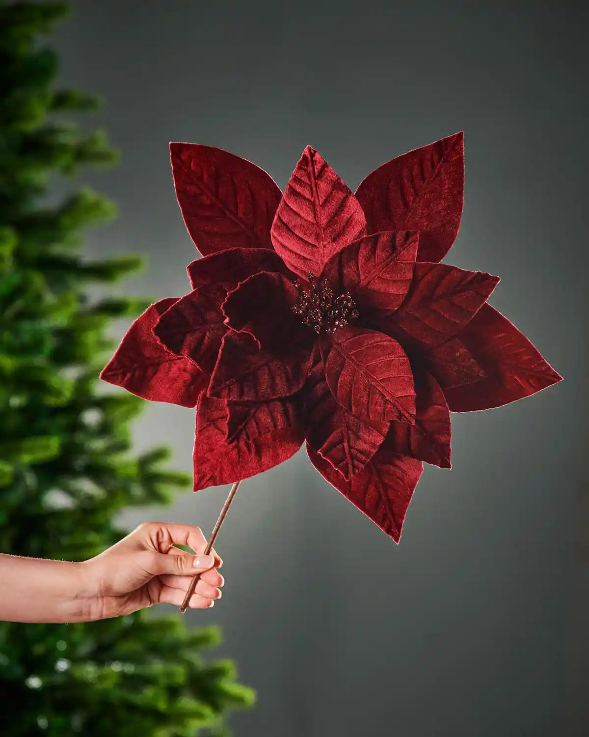 46 cm burgundy oversized artificial poinsettia flower held by its brown stem, showing the full flower head and layered petals.