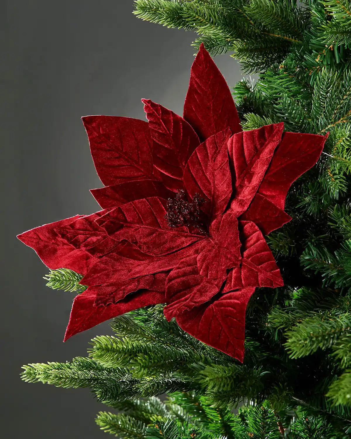 46 cm burgundy oversized artificial poinsettia flower displayed in a Christmas tree, with velvet-effect petals and a glittered centre.