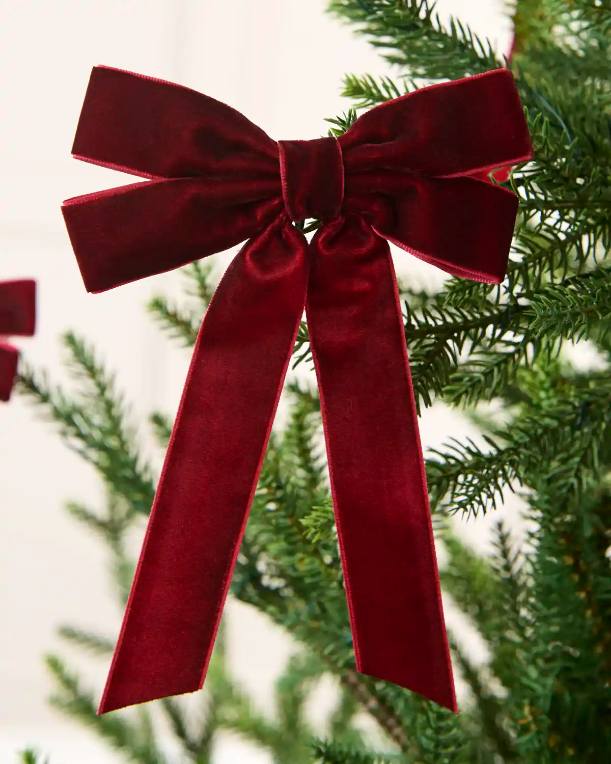 Burgundy 16.5 cm velvet double bow with long tails attached to a Christmas tree branch.