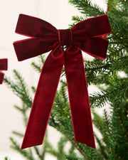 Burgundy 16.5 cm velvet double bow with long tails attached to a Christmas tree branch.