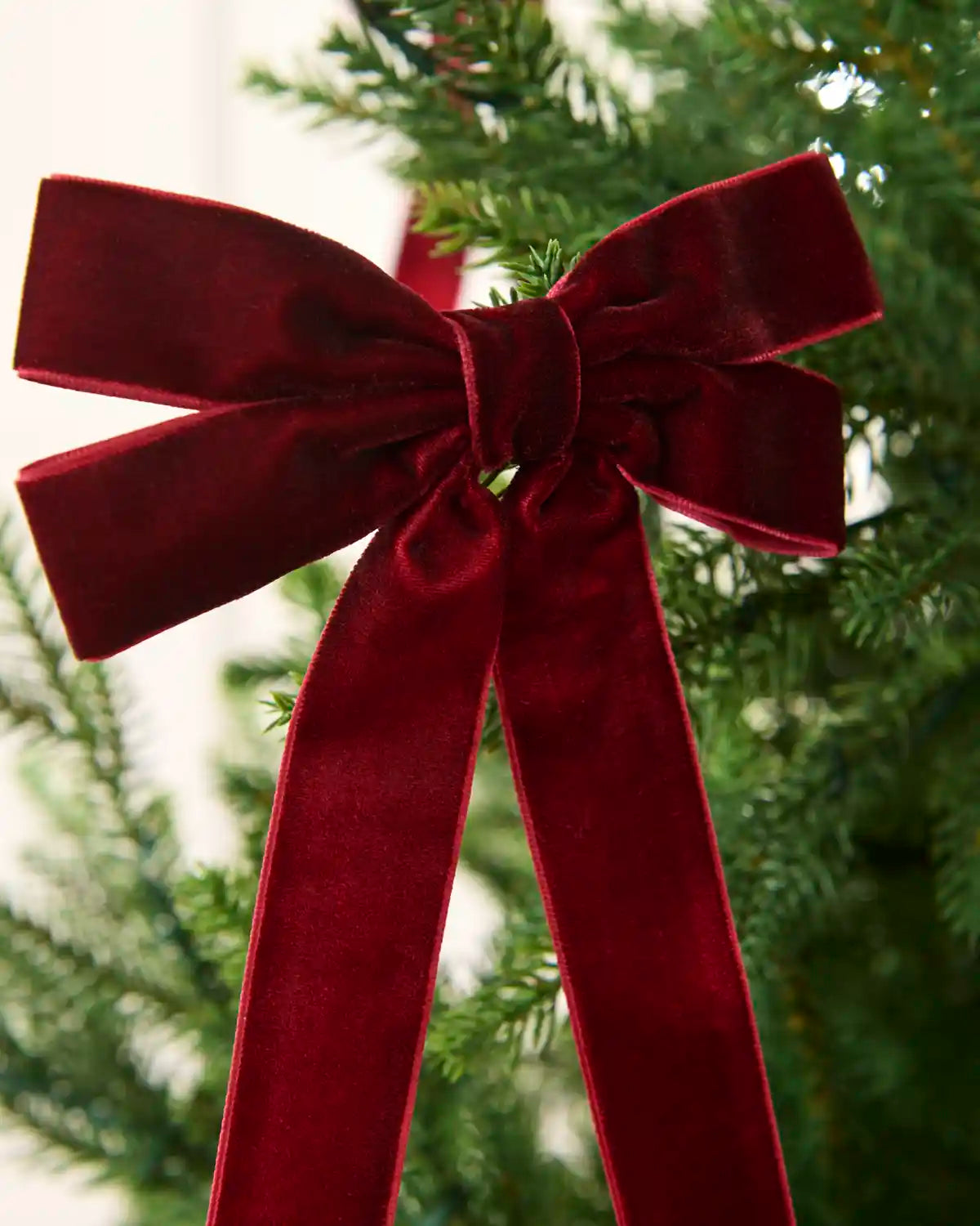 Close-up of a burgundy velvet double bow showing layered loops, long tails and soft texture.