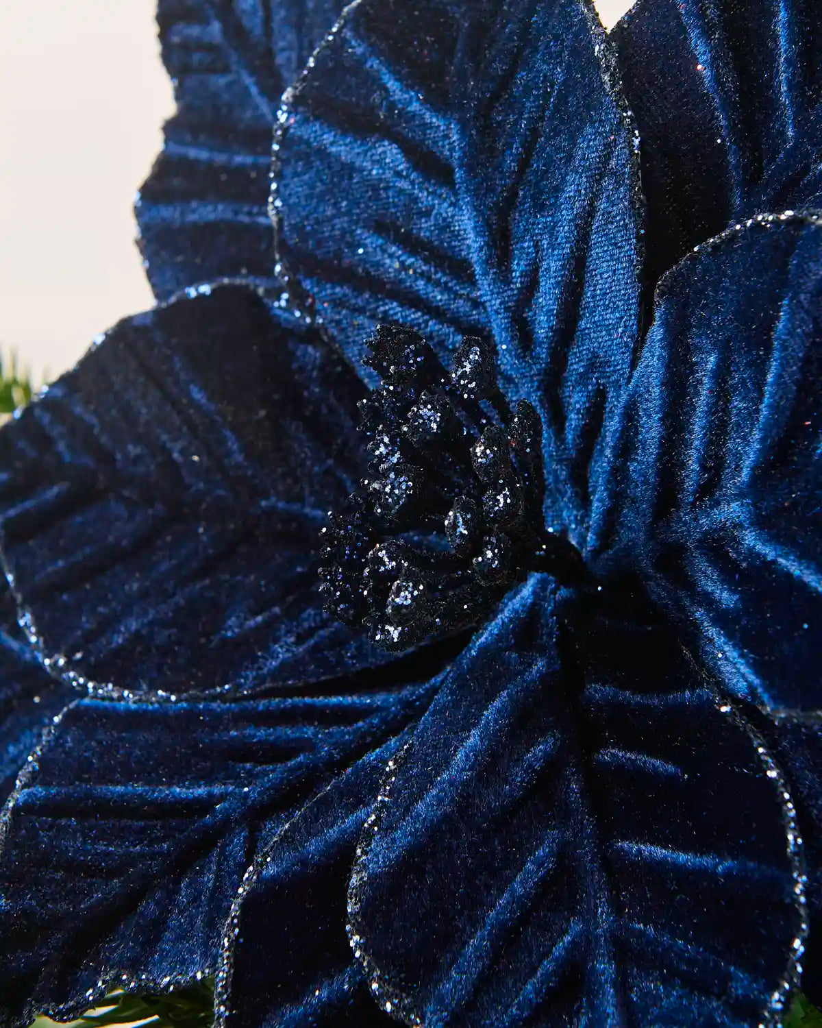 close-up of a navy blue flower with textured petals and a glittery dark centre.
