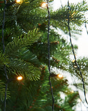 close up of single lit warm white bulbs 192 LED Christmas Tree String Lights, Warm White, 2 m on a white back ground 
